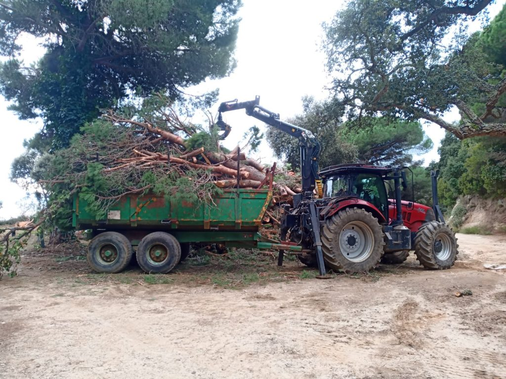 Foto de un tractor agafant fusta